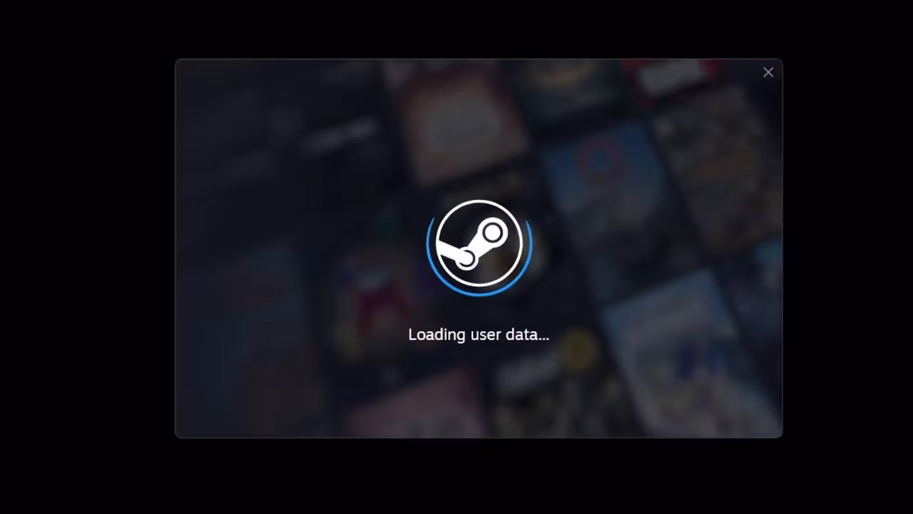 Open the Steam Client